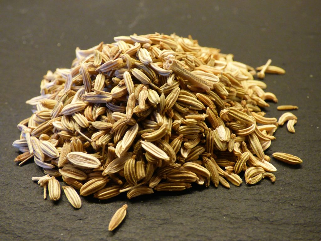 fennel-seed