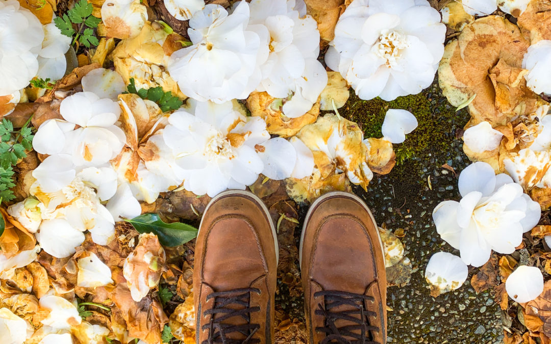 What are the 5 Elements and Why Do They Matter? Learn how Chinese medicine impacts your personality, health, and more